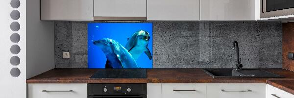 Cooker splashback Two dolphins