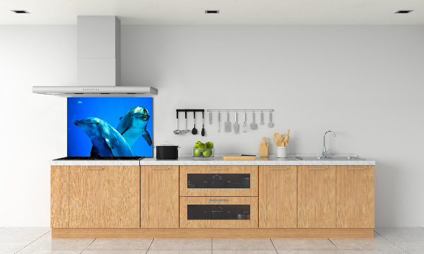 Cooker splashback Two dolphins