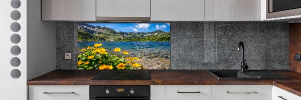 Cooker splashback Lake in the mountains