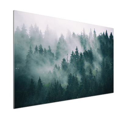 Cooker splashback Fog over the forest