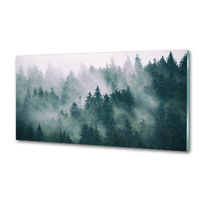 Cooker splashback Fog over the forest