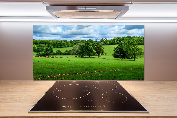 Cooker splashback Green hills