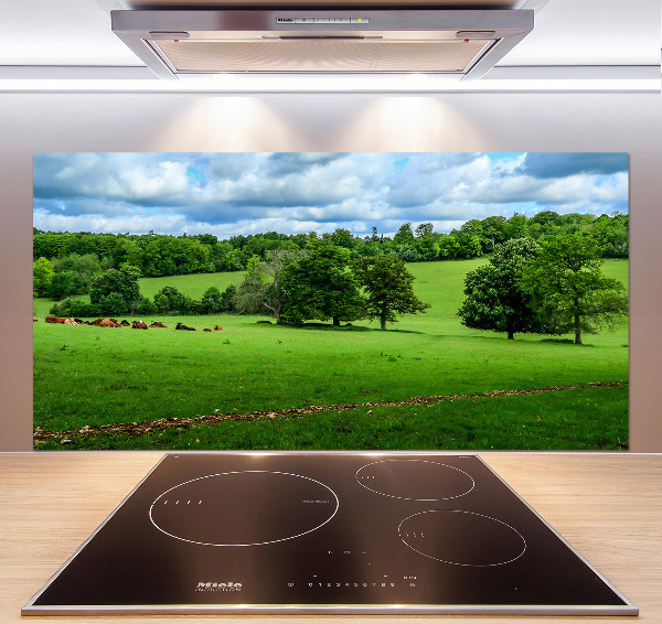 Cooker splashback Green hills