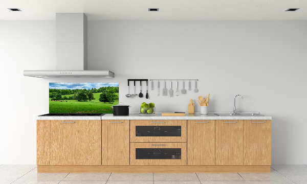 Cooker splashback Green hills