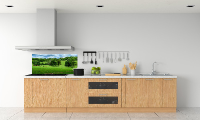 Cooker splashback Green hills