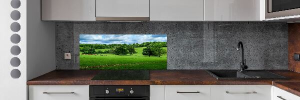 Cooker splashback Green hills