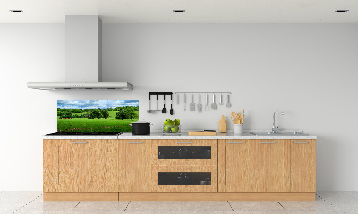 Cooker splashback Green hills