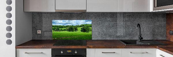 Cooker splashback Green hills