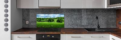 Cooker splashback Green hills