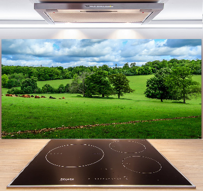 Cooker splashback Green hills