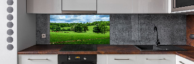 Cooker splashback Green hills