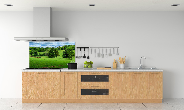 Cooker splashback Green hills