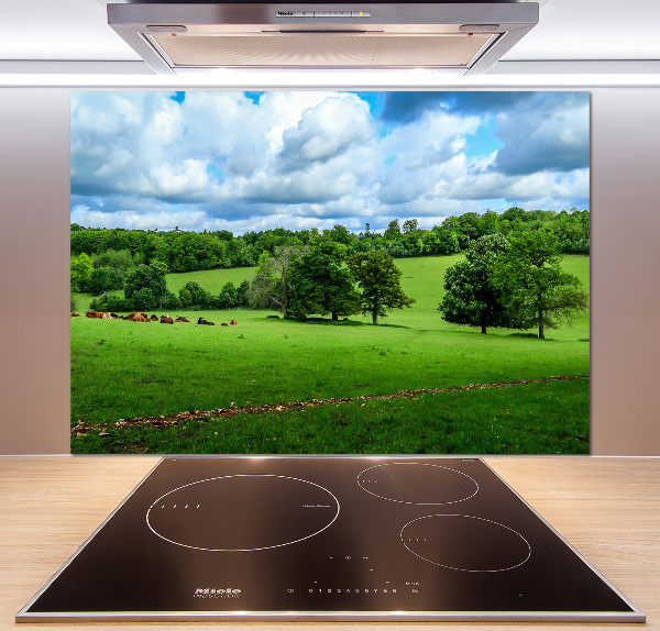 Cooker splashback Green hills