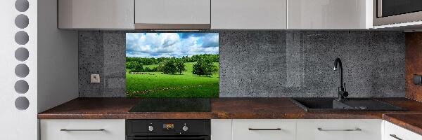 Cooker splashback Green hills