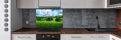 Cooker splashback Green hills