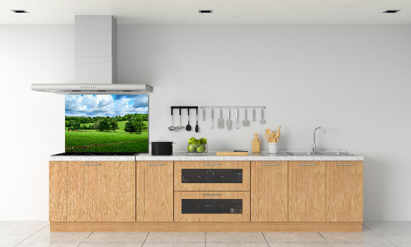 Cooker splashback Green hills