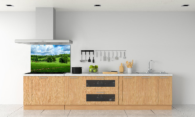 Cooker splashback Green hills