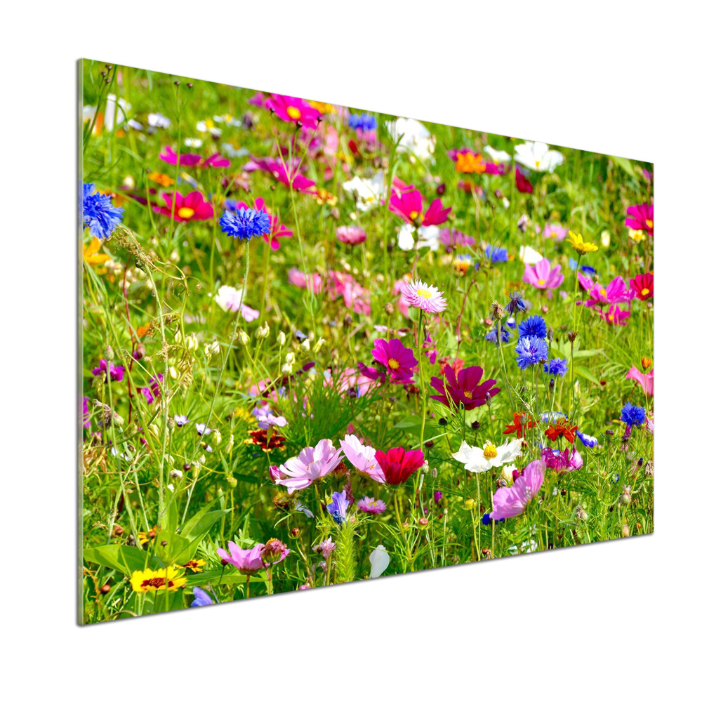 Kitchen splashback Field flowers