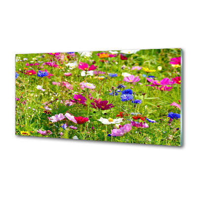 Kitchen splashback Field flowers