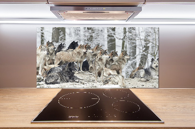 Cooker splashback Wolves in winter