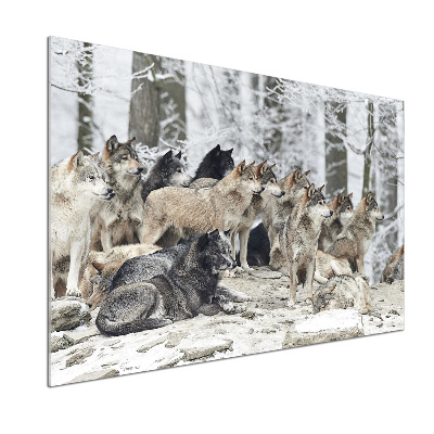 Cooker splashback Wolves in winter