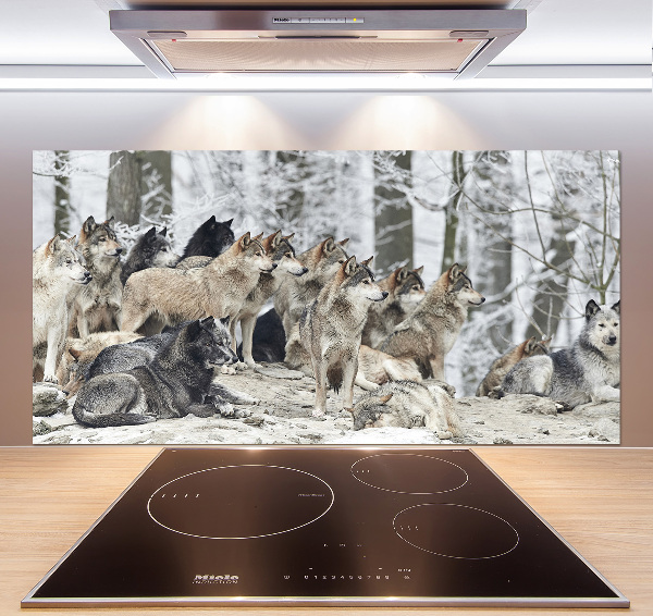 Cooker splashback Wolves in winter