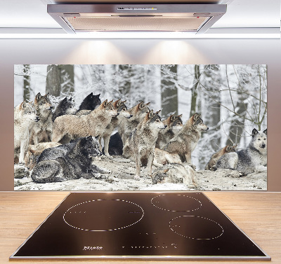 Cooker splashback Wolves in winter