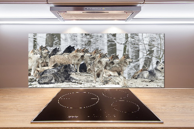 Cooker splashback Wolves in winter