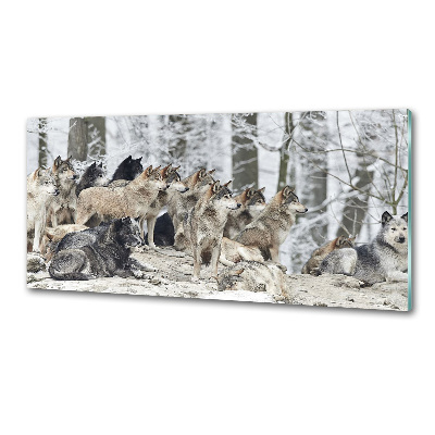 Cooker splashback Wolves in winter