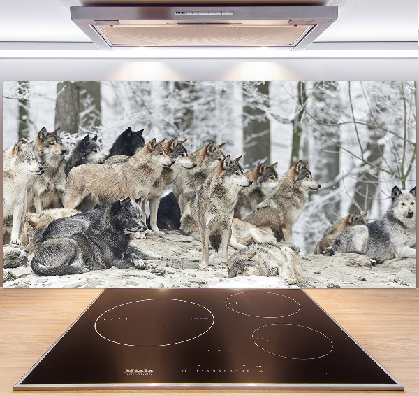 Cooker splashback Wolves in winter