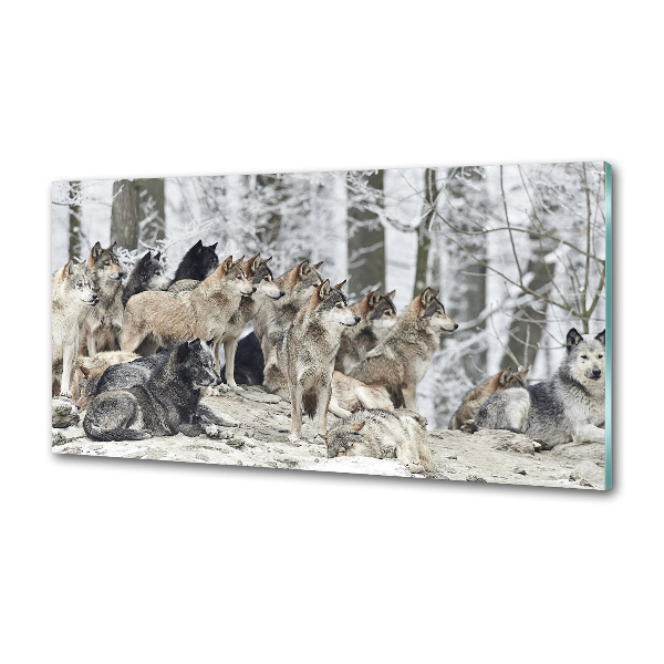 Cooker splashback Wolves in winter