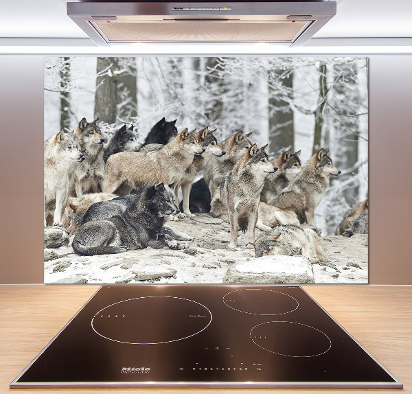 Cooker splashback Wolves in winter