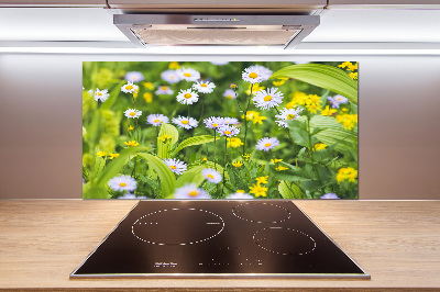 Kitchen splashback Daisy