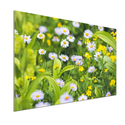 Kitchen splashback Daisy