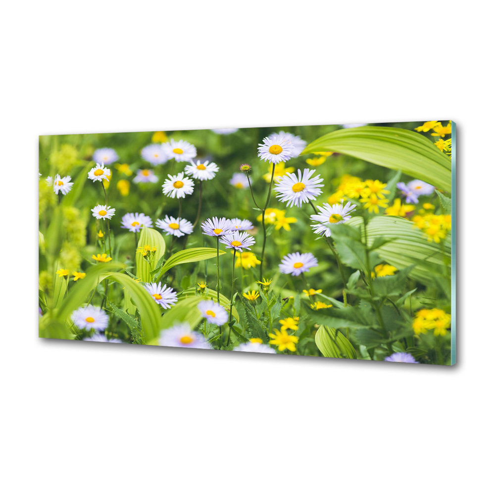 Kitchen splashback Daisy