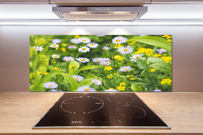 Kitchen splashback Daisy