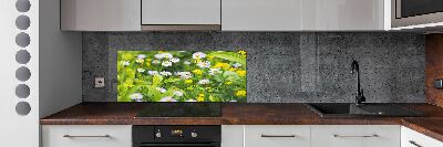 Kitchen splashback Daisy