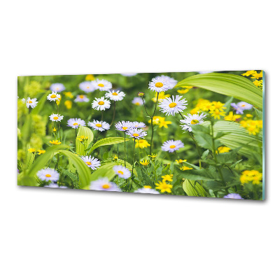 Kitchen splashback Daisy