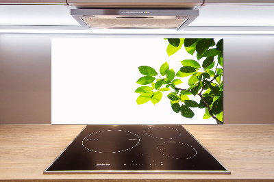 Kitchen splashback Leaves