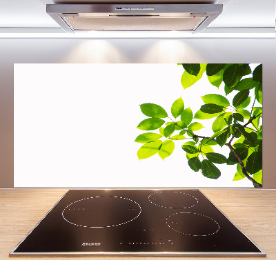 Kitchen splashback Leaves