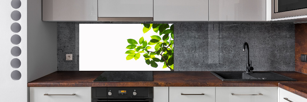 Kitchen splashback Leaves