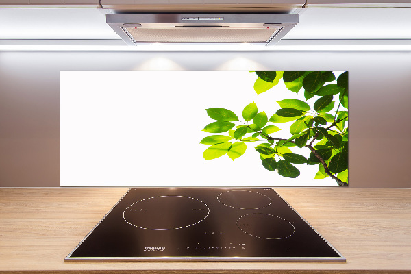 Kitchen splashback Leaves