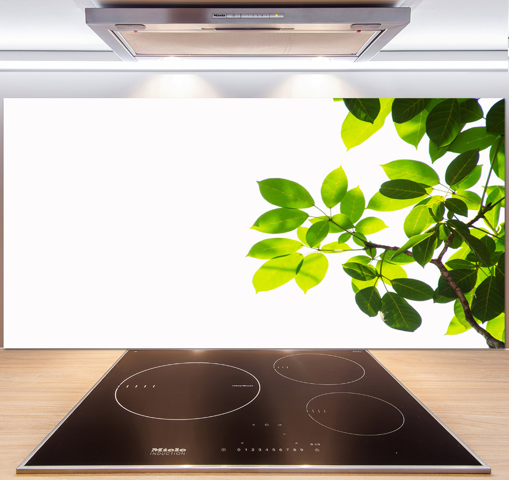 Kitchen splashback Leaves