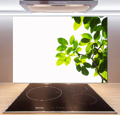 Kitchen splashback Leaves