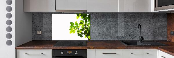 Kitchen splashback Leaves