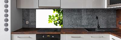 Kitchen splashback Leaves