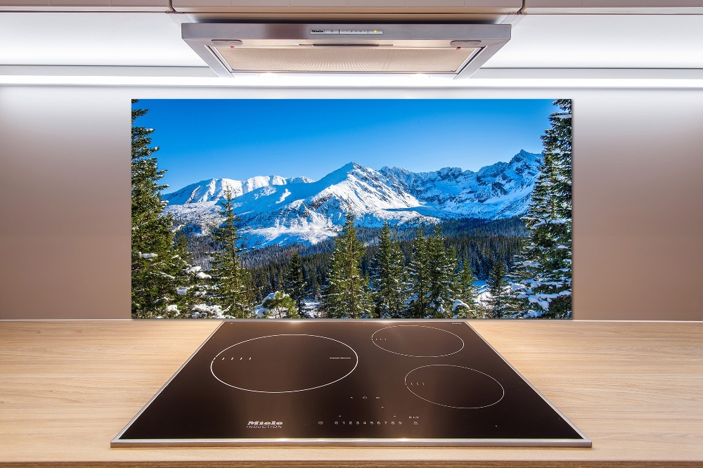 Kitchen wall panels Panorama of the Tatra Mountains