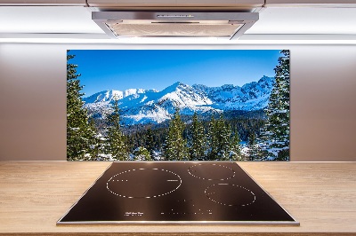 Kitchen wall panels Panorama of the Tatra Mountains