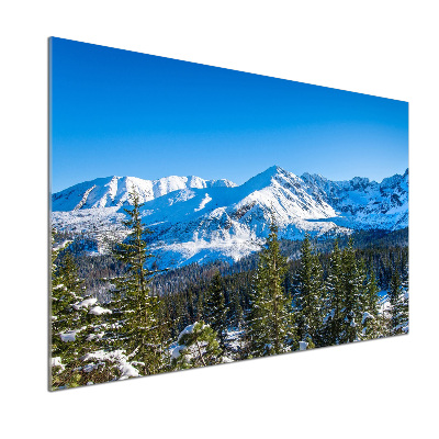 Kitchen wall panels Panorama of the Tatra Mountains