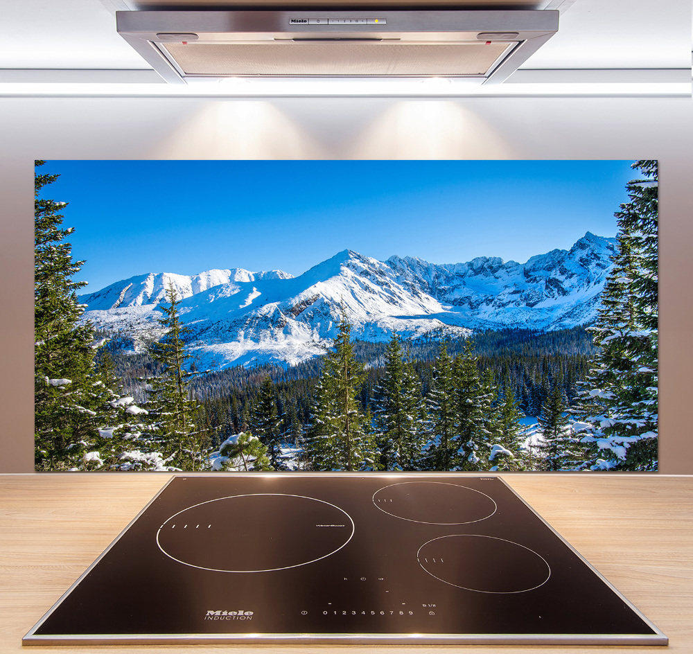 Kitchen wall panels Panorama of the Tatra Mountains